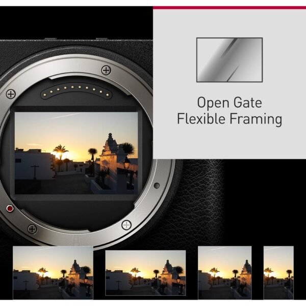 5025232968961_5.jpg PANASONIC LUMIX DC-S9 D.OLIVE+18-40MM/F4.5-6.3 Systemkamera mit Objektiv 18 – 40 mm, 7,6 cm Display Touchscreen, WLAN