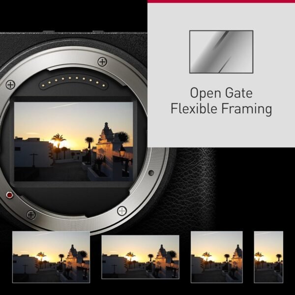 PANASONIC LUMIX S9 JET BLACK+20-60MM/F3.5-5.6 S Systemkamera mit Objektiv 20 – 60 mm, 7,6 cm Display Touchscreen, WLAN